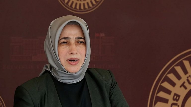 AK Partili Zengin, tahliye edilen Dilruba Kayserilioğlu’nun hâlâ ceza alabileceğini söyledi.
