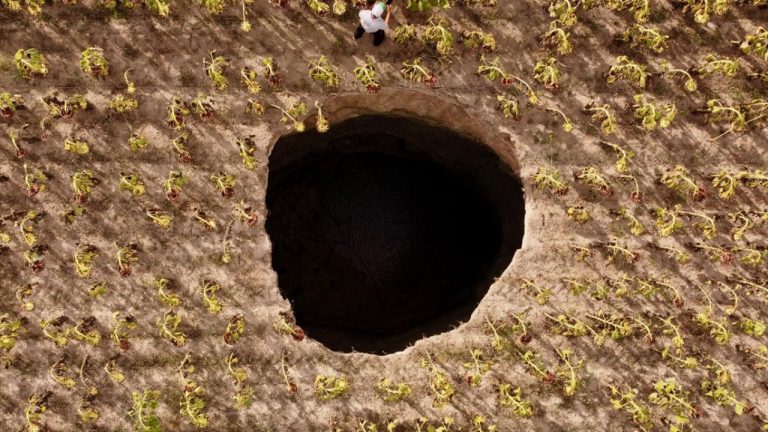 Eskişehir ayçiçeği tarlasında 20 metrelik obruk oluştu