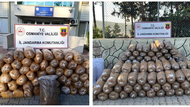 Osmaniye’de 1,3 ton kaçak tütün ele geçirildi