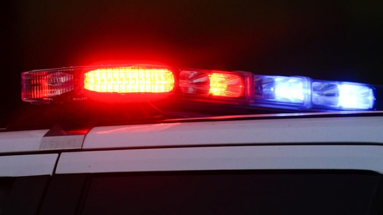 Amerika Birleşik Devletleri’ndeki hırsız tarafından yutulan 769 bin dolar küpe dükkana iade edildi