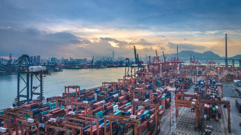 D8 ülkeleriyle yapılan ticaret 126,6 milyar dolara ulaştı