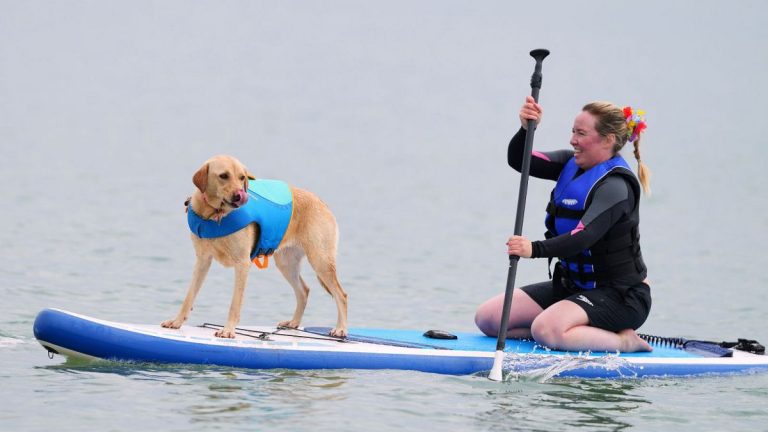 Video. İngiltere’de düzenlenen Köpek Sörf Şampiyonası’nı Margo kazandı