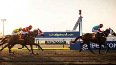 suratbet - surat bet