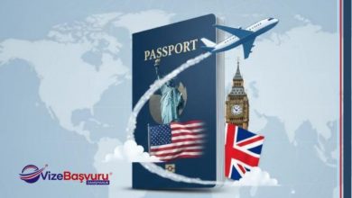 Online Vize Başvurusu, Vize Başvurusu