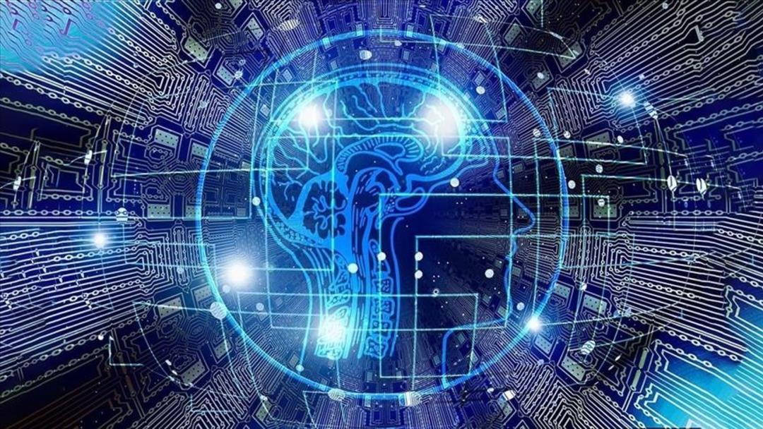 Turkstat bunu ilk kez yayınladı! Bu rapor, yüzde 19,2 çıktı 2